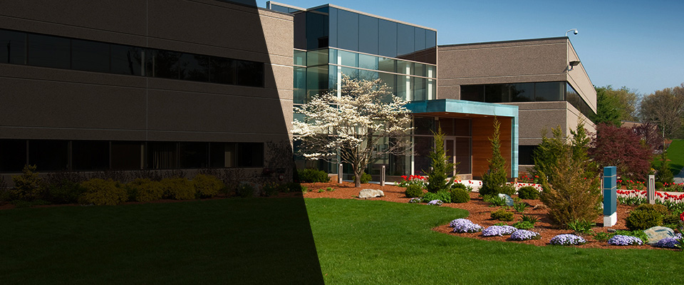 North Wales Landscapers