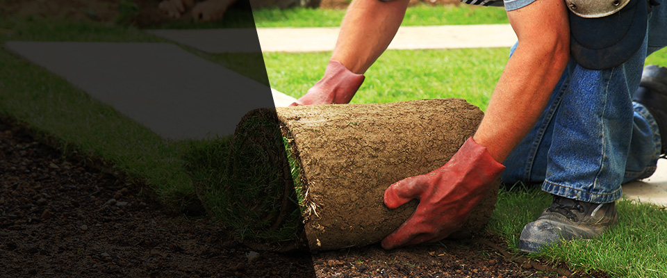 North Wales Landscapers